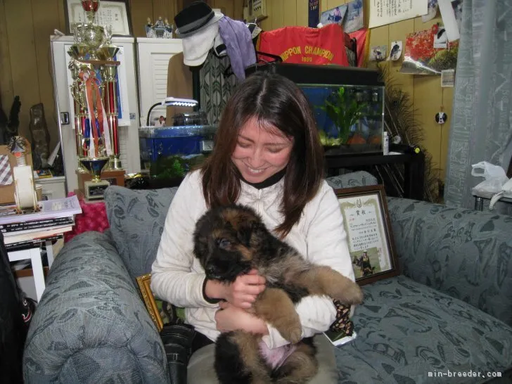 ID:1612-02005の子犬