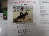 ジャーマン・シェパード・ドッグ【岡山県・男の子・2022年12月9日・ブラックタン】の写真5「母親の「ウルマ号」です。」