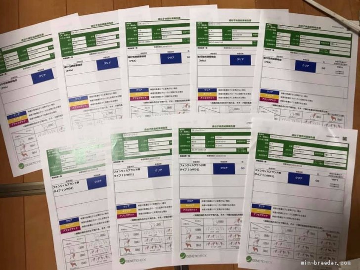 中村敏恵ブリーダーのブログ：先月実施した遺伝子検査の結果お知らせします