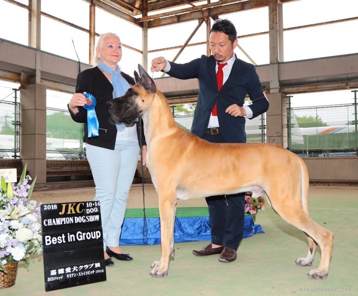 舛田　泰久(ますだ　やすひさ)ブリーダー(福岡県・フレンチブルドッグなど・JKC登録)の紹介写真3