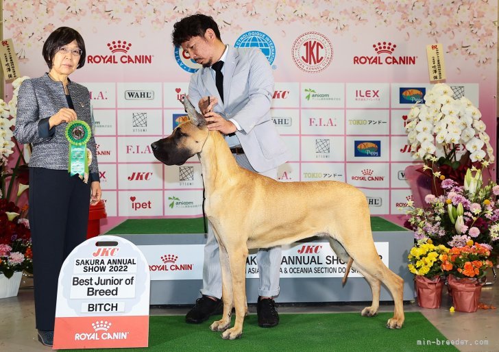 舛田　泰久(ますだ　やすひさ)ブリーダー(福岡県・フレンチブルドッグなど・JKC登録)の紹介写真5