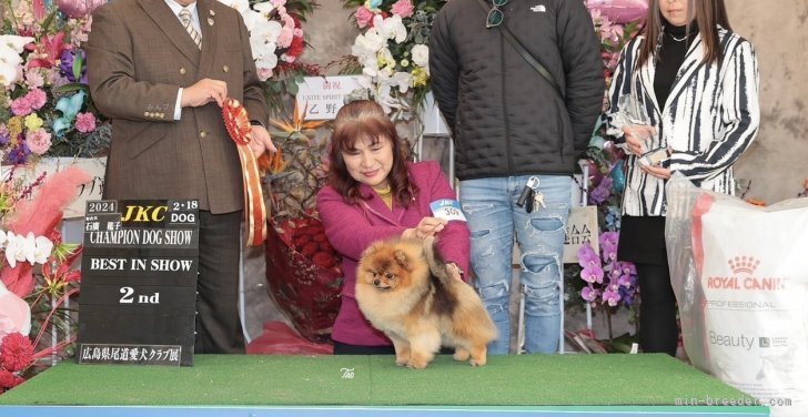 水江　行宏(みずえ　ゆきひろ)ブリーダー(岡山県・ジャックラッセルテリアなど・JKC登録)の紹介写真1