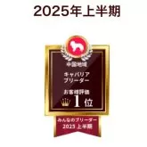 キャバリア【岡山県・男の子・2025年5月31日・ブレンハイム】の写真7