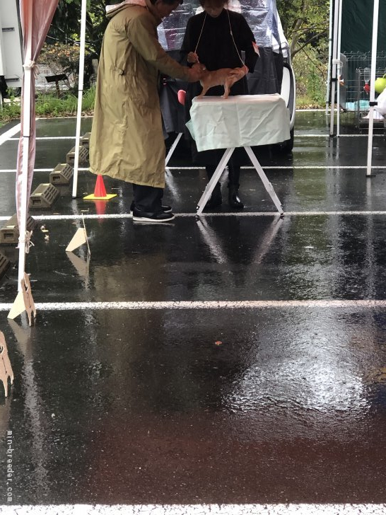 初ステイ