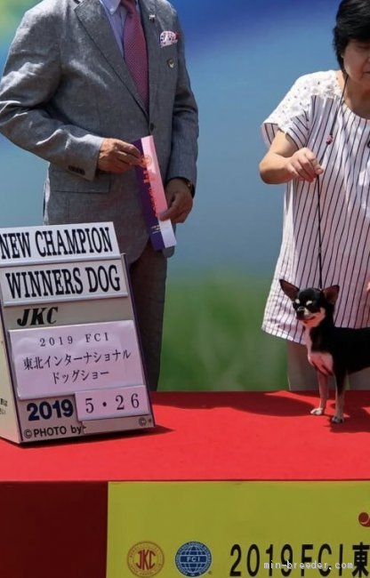 チャンピオン完成記念写真