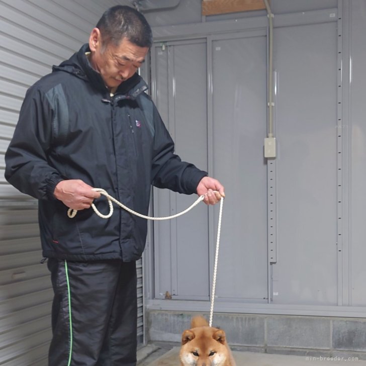 根岸正明ブリーダー