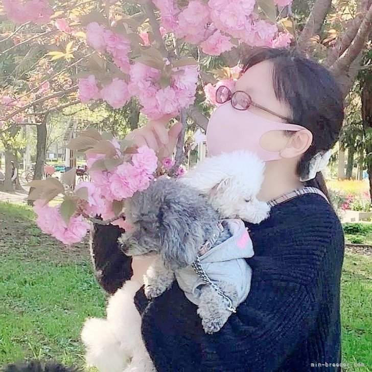 藤森満美子ブリーダー