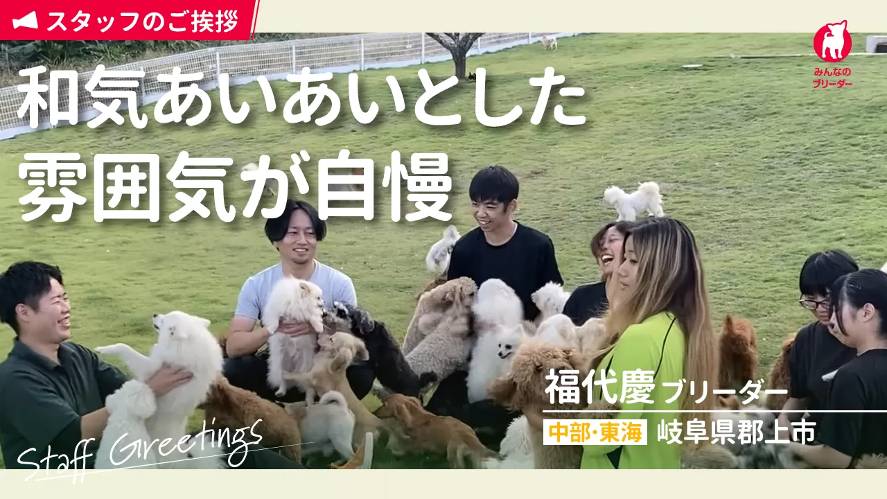 スタッフ紹介の動画