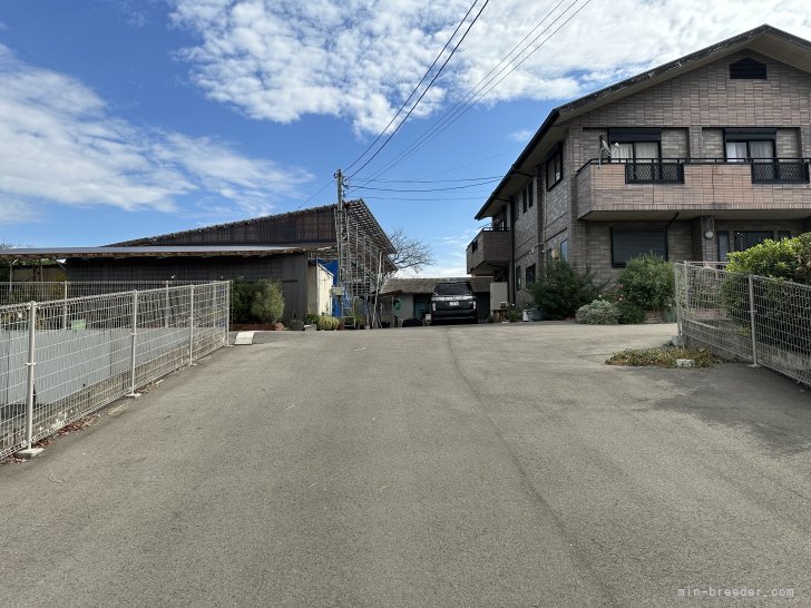 石橋　敏弘(いしばし　としひろ)ブリーダー(福岡県・ポメラニアンなど・JKC登録)の紹介写真4