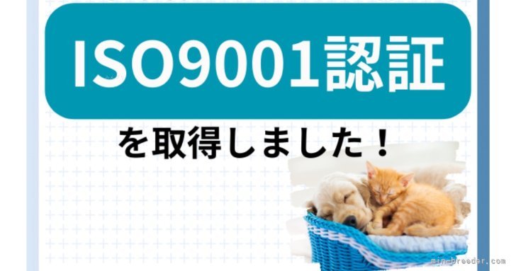 ブリーダー業界で先駆けてISO取得｜岩崎　誠(いわさき　まこと)ブリーダー(埼玉県・チワワ(ロング)など・JKC登録)の紹介写真9