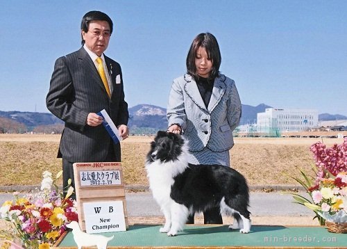 大森智代ブリーダー