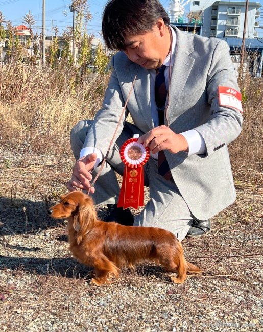 2日続けてGroup 2nd