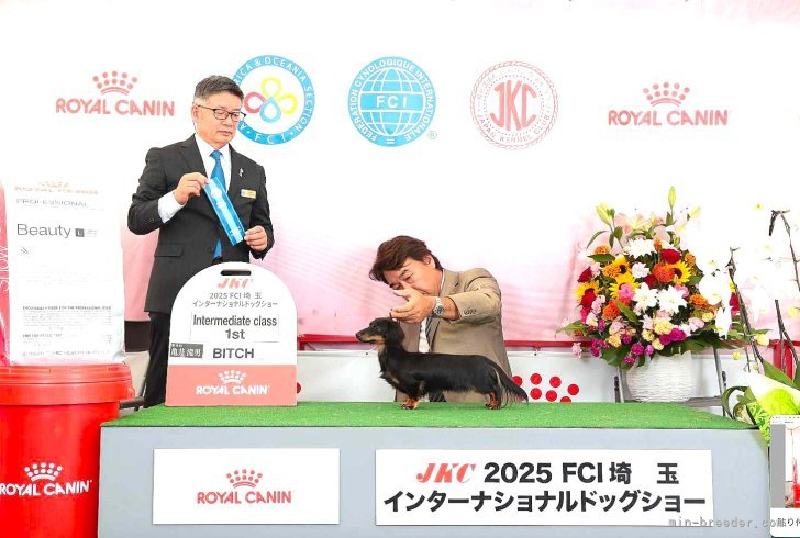 メジャーカード取得。