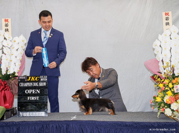 初出陳でカード取得。