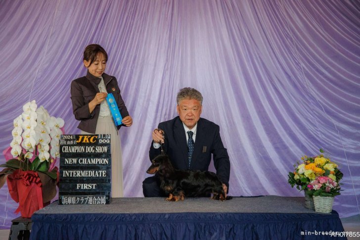 4回出陳ストレートでNEW・JKC・CH完成。