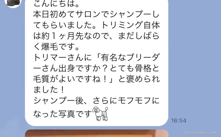 太田衣里ブリーダーのブログ：当犬舎から巣立った、ナポの妹ちゃん♡