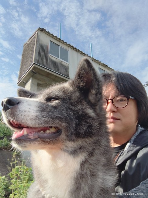 篠田　篤(しのだ　あつし)ブリーダー(愛知県・秋田犬・秋田犬保存会登録)の紹介写真1