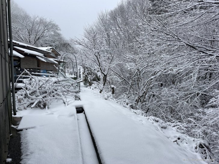 窓を開けると、綺麗な樹氷が見られますが、お部屋の中は薪ストーブと石油ストーブでぬくぬく。｜鈴木　二三子(すずき　ふみこ)ブリーダー(愛知県・ラブラドールレトリバーなど・JKC登録)の紹介写真9