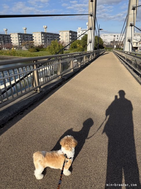 田端尚和ブリーダーのブログ：偶然の出会い🥰