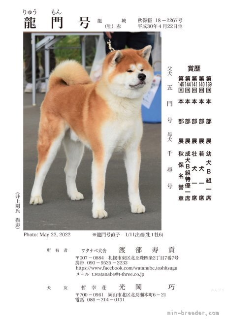 秋田犬【・男の子・2018年4月22日・赤】