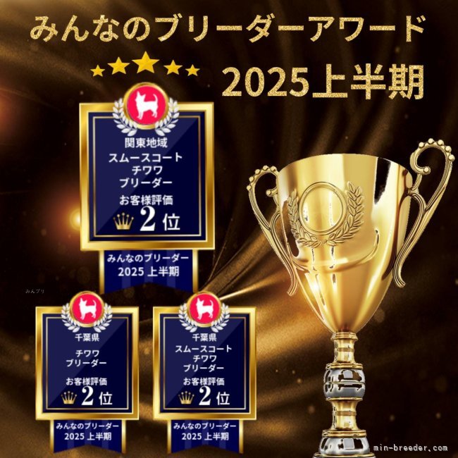 吉川久美ブリーダーのブログ：🏆みんなのブリーダーアワード受賞🏆