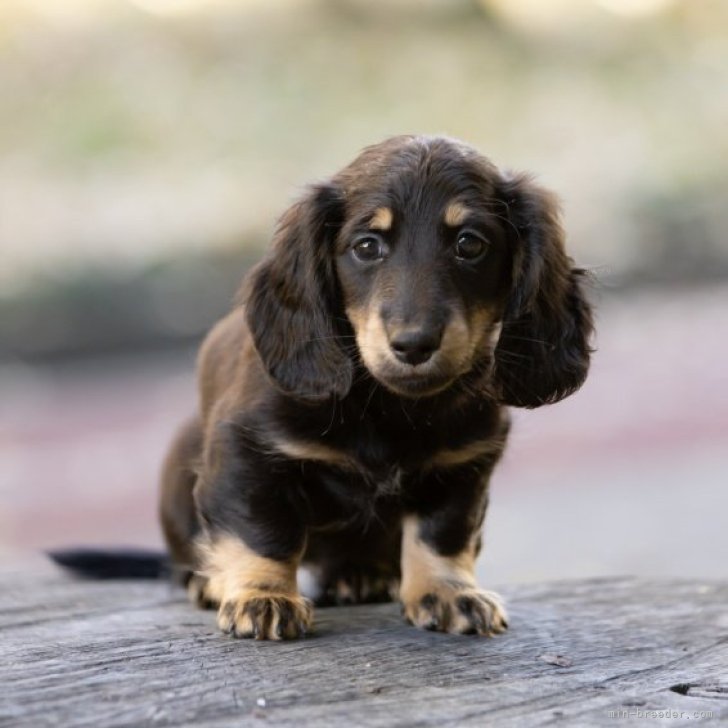 child_img_1_66c3a359f633.jpg