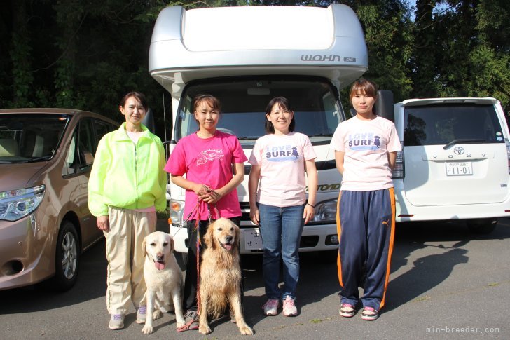 福田　祥子(ふくだ　しょうこ)ブリーダー(茨城県・ゴールデンレトリバーなど・JKC/KC登録)の紹介写真8