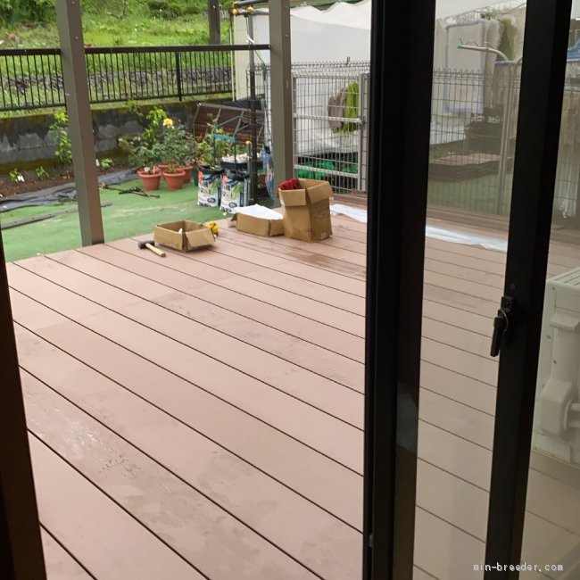 コロナ対策として、野外見学対応スペースを設置！広々としたデッキなので安心してご見学下さい♪｜西岡　和代(にしおか　かずよ)ブリーダー(埼玉県・フレンチブルドッグなど・JKC登録)の紹介写真3