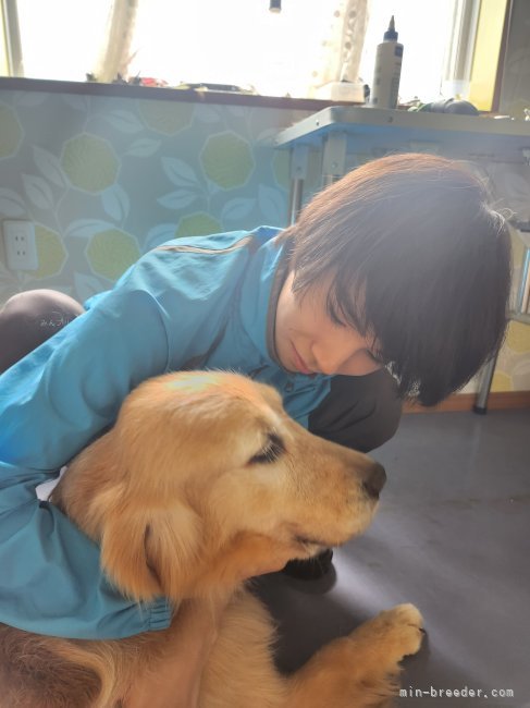 犬好きからはじまり親子孫、３代で気づけばブリードをしています。犬と共に生まれ育ち成長してきました！｜宮川　舞(みやがわ　まい)ブリーダー(愛知県・フレンチブルドッグなど・JKC登録)の紹介写真5
