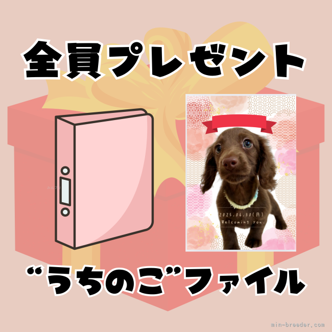 大木啓旨ブリーダーのブログ：全員プレゼント🎁当犬舎の”うちのこ”ファイル