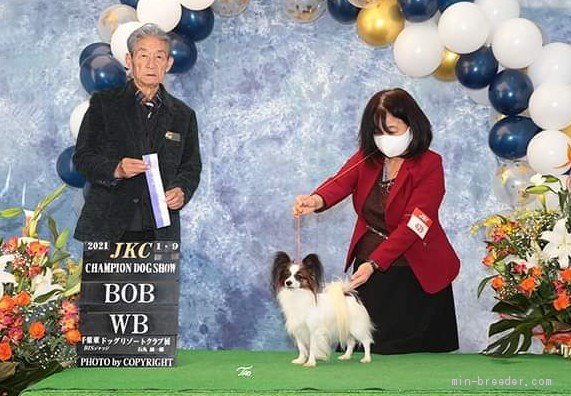 ウィナーズとベストオブブリード両方いただきました