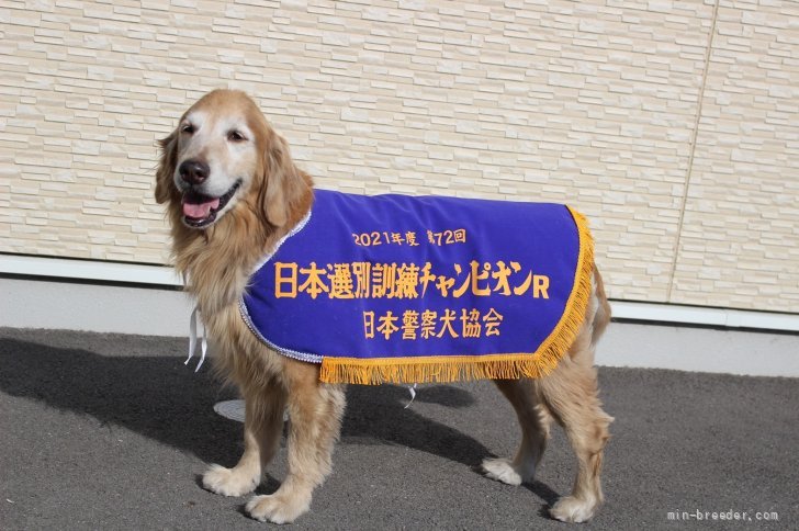 吉井彰ブリーダー