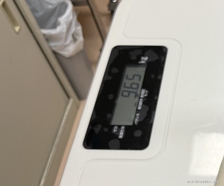 竹内砂弥香ブリーダーのブログ：予定日は5月9日