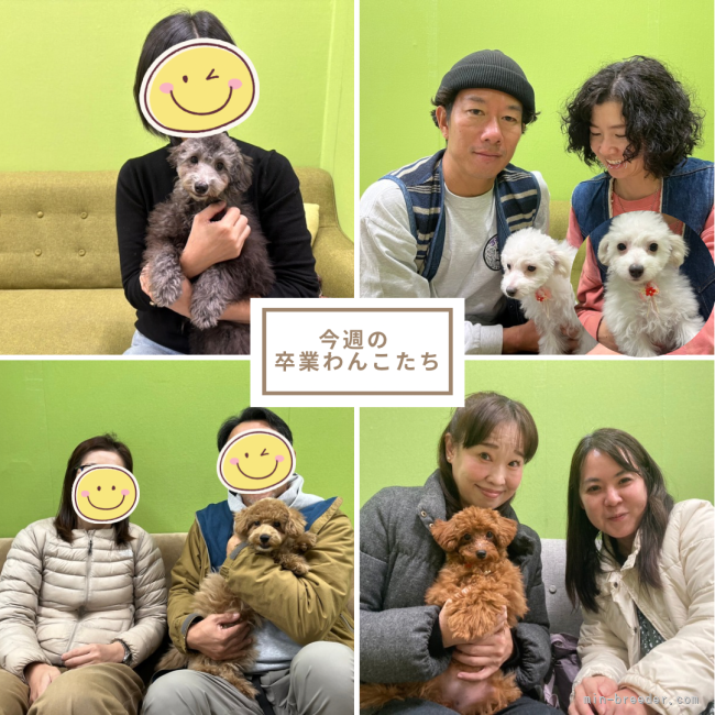 朝比奈杏奈ブリーダーのブログ：家族が決まりました🐶💕