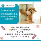 マルチーズ【神奈川県・男の子・2024年11月11日・ホワイト】の写真14「💉全頭健康診断実施済み💉毎週専属の獣医師がワンちゃんの体調チェックをしています🏥」