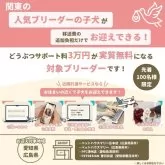 トイプードル(トイ)【神奈川県・男の子・2025年7月3日・シルバー】の写真6「愛知・広島でコウノトリをご利用の場合、サポート料3万円割引🎉🐶✨※一部対象外の子もいます」