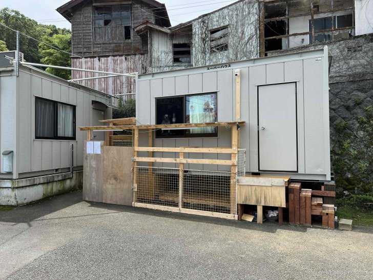 鈴木　功次(すずき　こうじ)ブリーダー(静岡県・アメリカンブリーなど・JKC登録)の紹介写真1