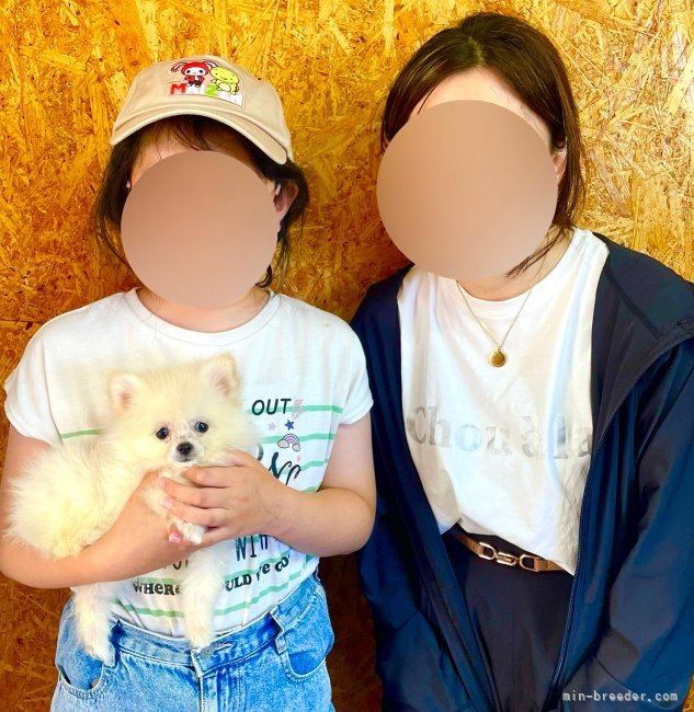 山口千尋ブリーダーのブログ：ポメラニアンの男の子お引き渡し！！