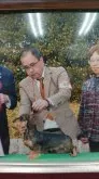 カニンヘンダックスフンド(ワイアー)【神奈川県・女の子・2021年1月22日・ワイルドボア】の写真4「パパです。」