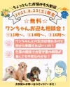 ミニチュアダックスフンド(ロング)【東京都・女の子・2025年5月23日・ブラック&タン】の写真2「無料のワンちゃんお迎え相談会を 📅2025年8月23日(土)限定で開催いたします🍍」