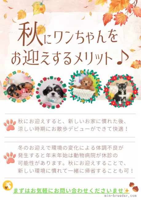 【美品】ファインアートミニチュアズ　公園を散歩する紳士と淑女 miniature-japanese-garden-