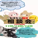 トイプードル(トイ)【東京都・女の子・2025年4月11日・アプリコット】の写真2「今年5月の相談会の好評につき📅6/21(土)子犬お迎え相談会を開催🌈お問合せお待ちしております♬」