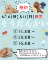 トイプードル(トイ)【東京都・女の子・2025年6月8日・アプリコット】の写真2「無料のワンちゃんお迎え相談会を 📅2025年8月10日(日)と11日(月・祝)に開催いたします🌻」