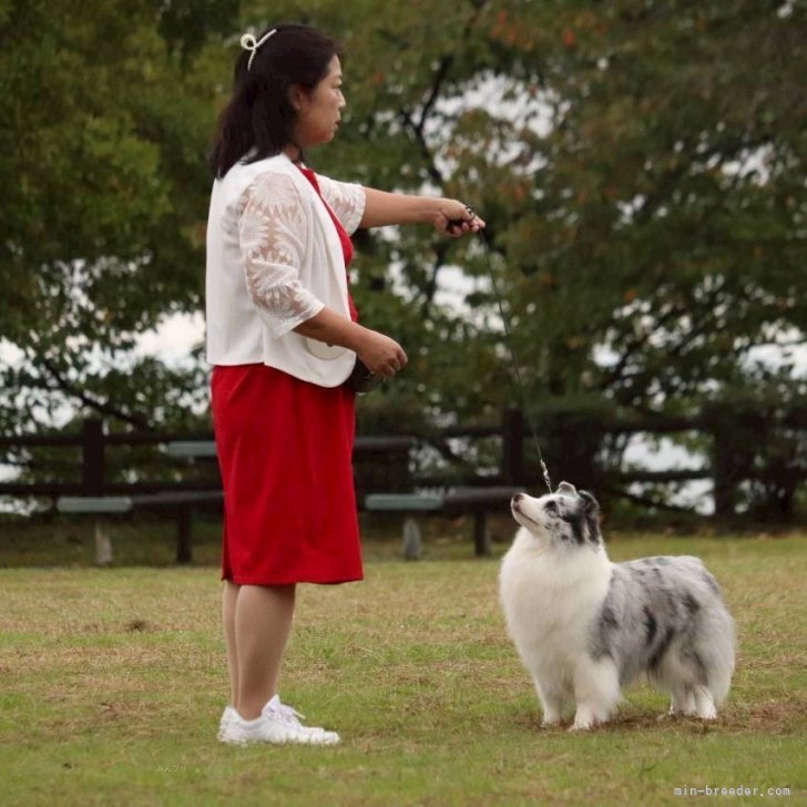 谷口朋子ブリーダー