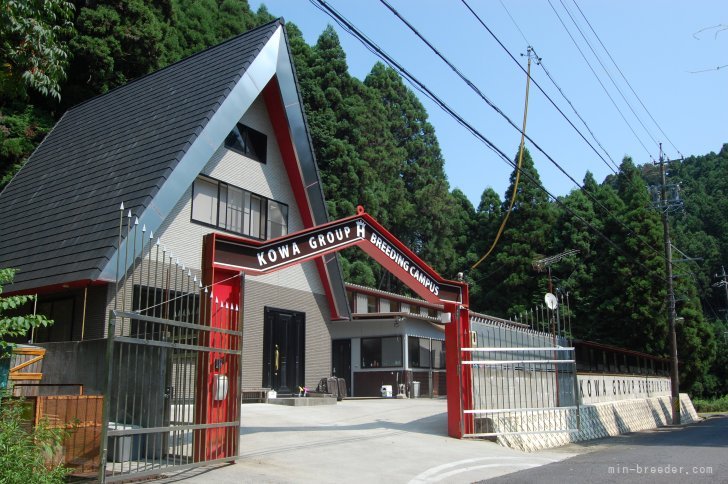 赤門が目印施設となります🐶✨️｜大江　昇(おおえ　のぼる)ブリーダー(三重県・ミニチュアシュナウザーなど・JKC登録)の紹介写真1