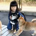豆柴【宮崎県・女の子・2018年1月30日・黒】の写真3