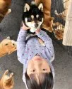 豆柴【宮崎県・女の子・2018年1月30日・黒】の写真5