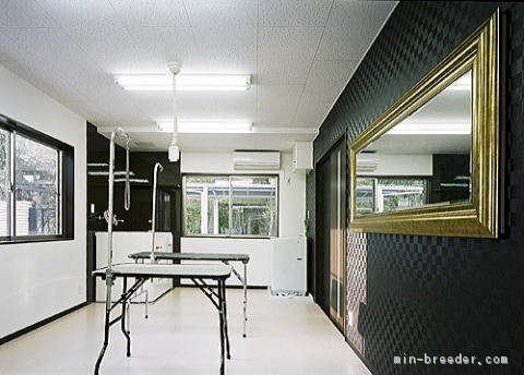 トリミングルーム｜信貴　健二(しぎ　けんじ)ブリーダー(兵庫県・シェットランドシープドッグなど・JCC登録)の紹介写真3