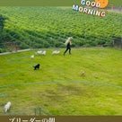 篠崎瑞代ブリーダーのブログ：ブリーダーの朝