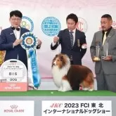 シェットランドシープドッグ【神奈川県・男の子・2025年2月6日・セーブル&ホワイト】の写真8「記念撮影」